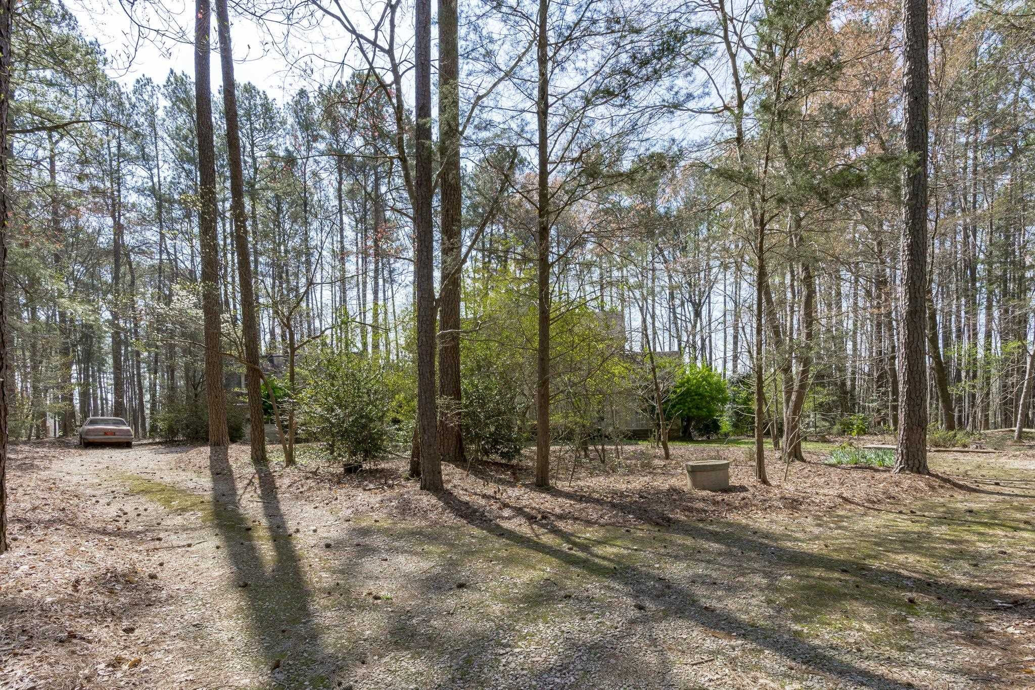 12801 Strickland Road Raleigh, NC 27613 - Photo 11 of 27 a view of outdoor space with trees
