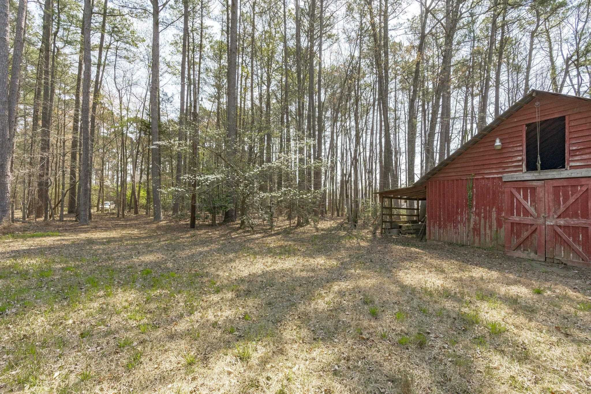 12801 Strickland Road Raleigh, NC 27613 - Photo 18 of 27 a view of backyard with tree