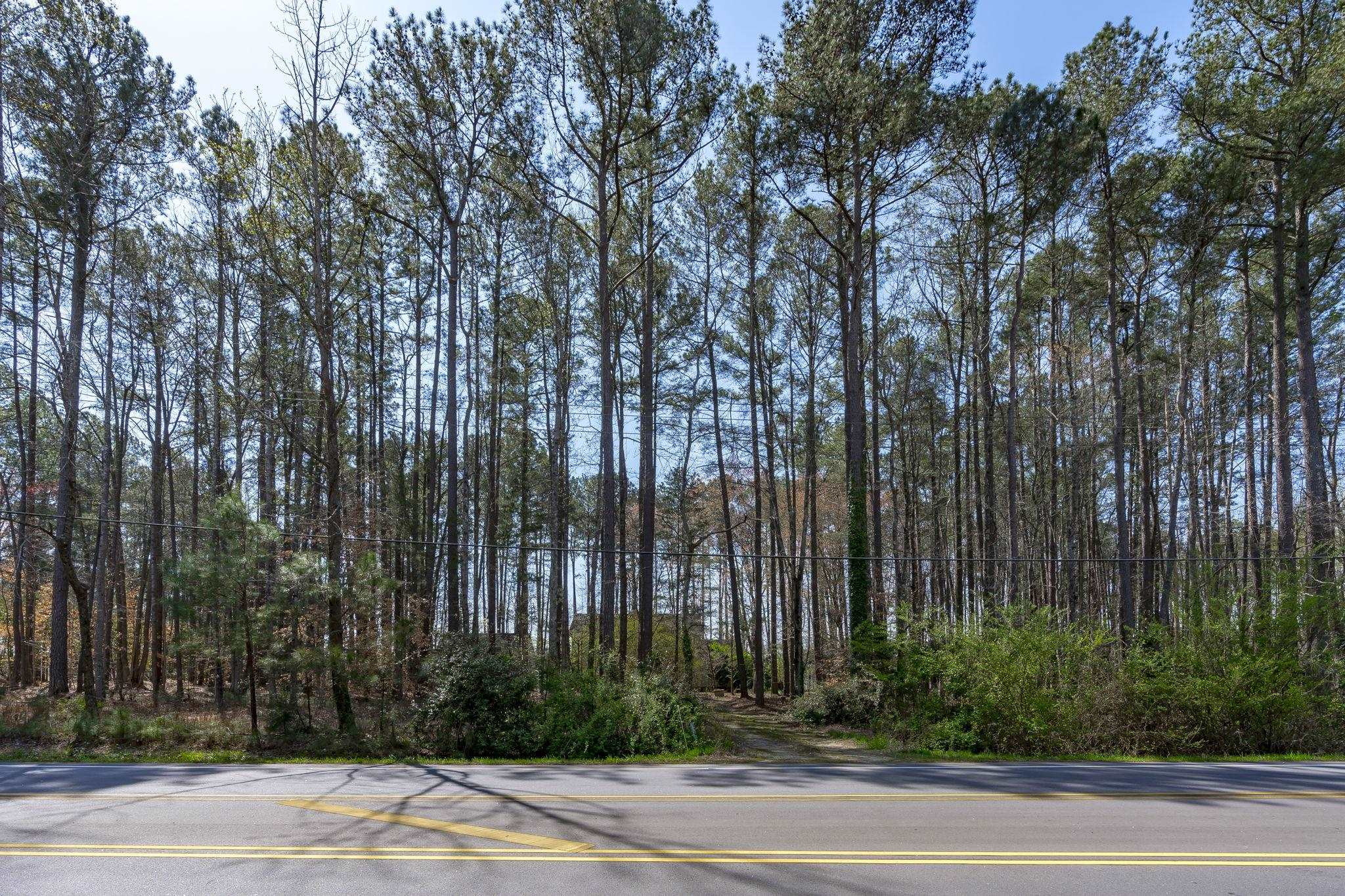 12801 Strickland Road Raleigh, NC 27613 - Photo 4 of 27 a view of a yard with large trees