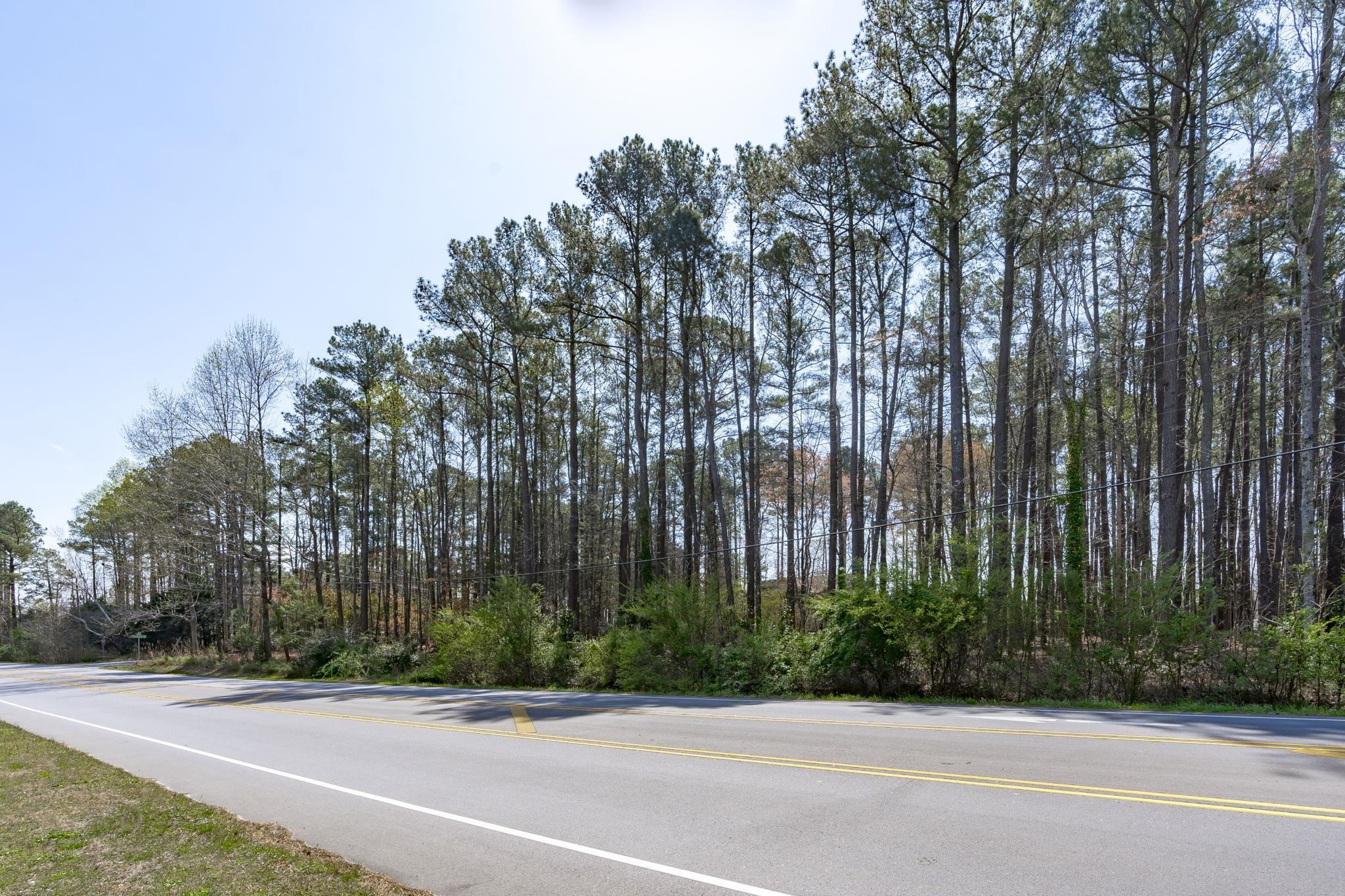 12801 Strickland Road Raleigh, NC 27613 - Photo 5 of 27 a view of a garden