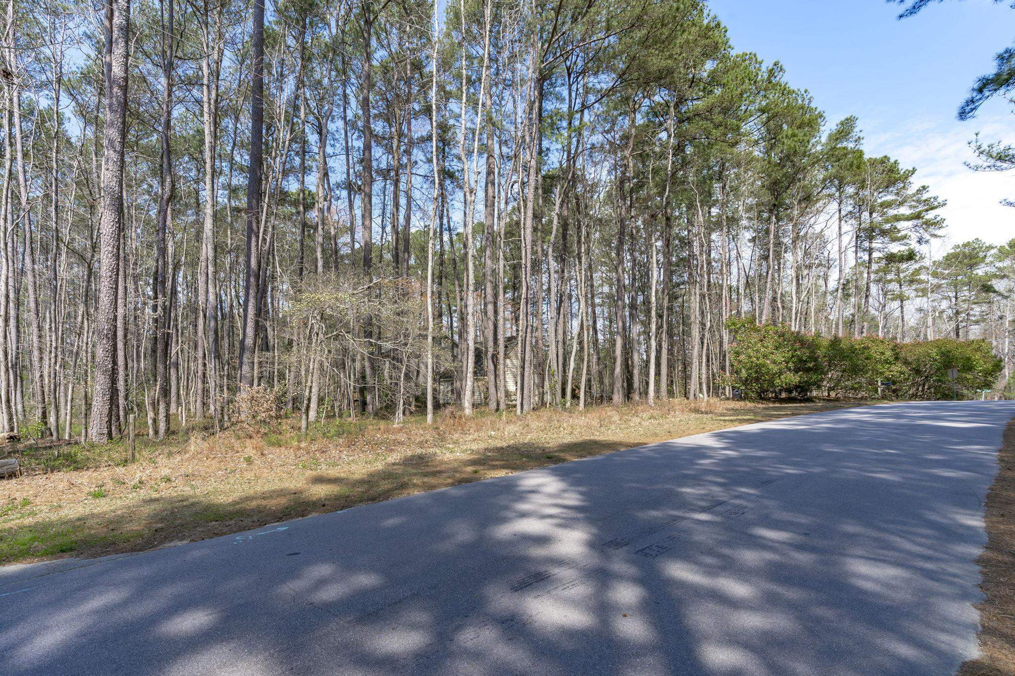 12801 Strickland Road Raleigh, NC 27613 - Photo 10 of 27 a view of outdoor space with trees
