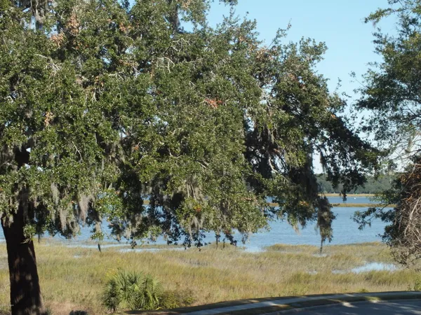 $1,760 | 710 Boundary Street, Unit 2D, Beaufort, SC 29902