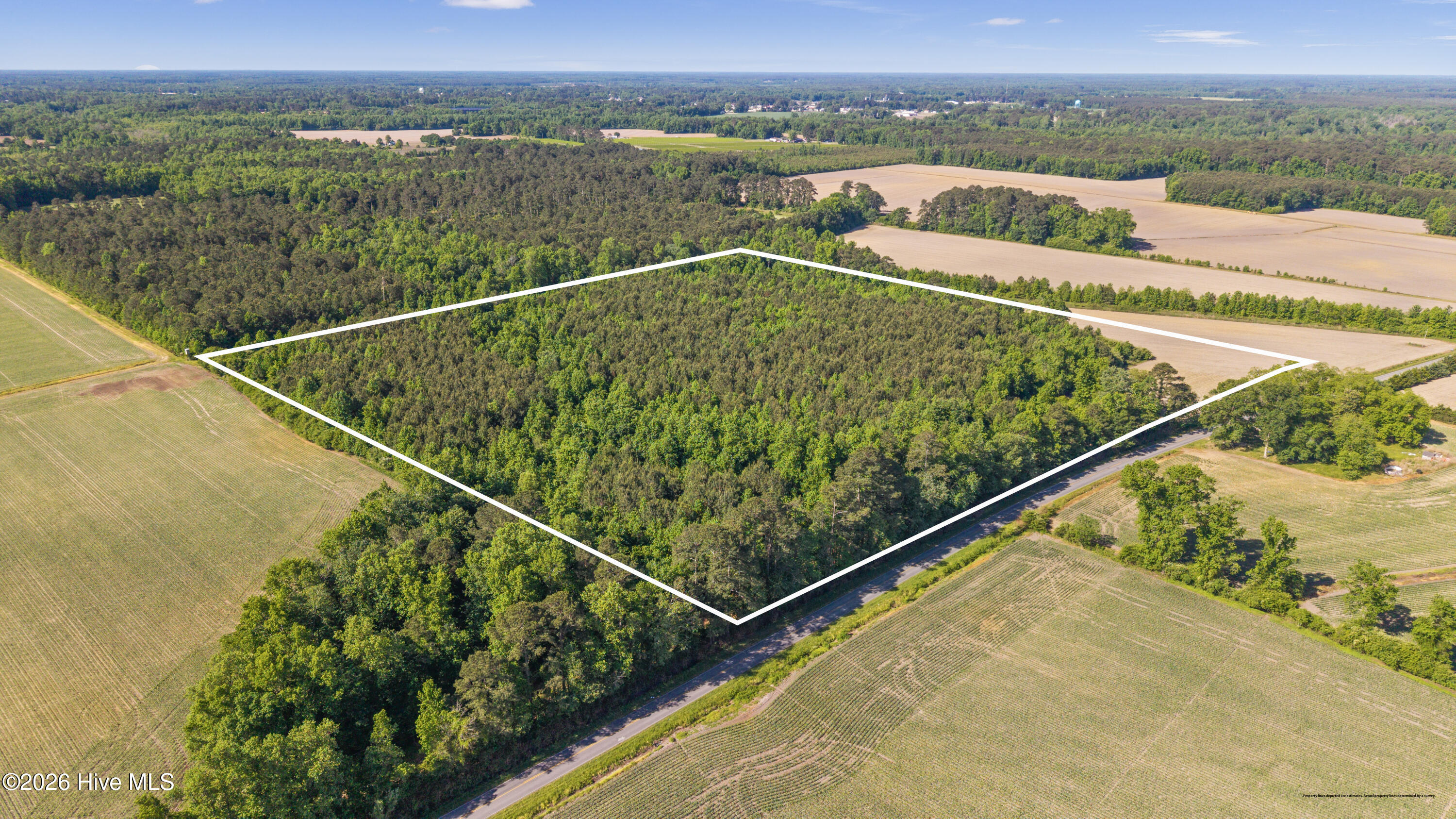 26-acres High School Road Teachey, NC 28464 - Photo 6 of 23 10-DJI_20260428094049_0071_D-Edit