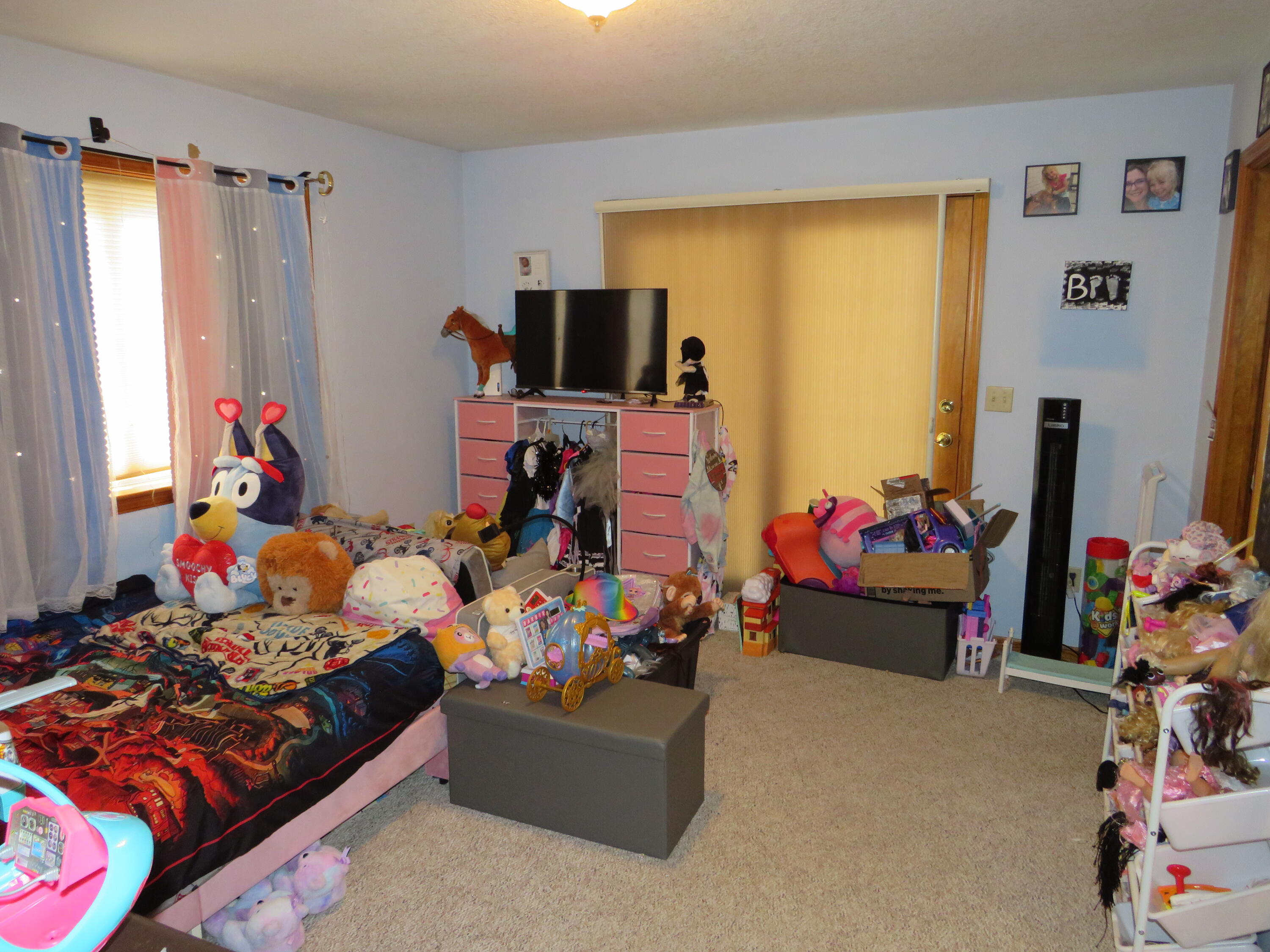 7901 North Lumberjack Road Riverdale, MI 48877 - Photo 16 of 40 IMG_3362