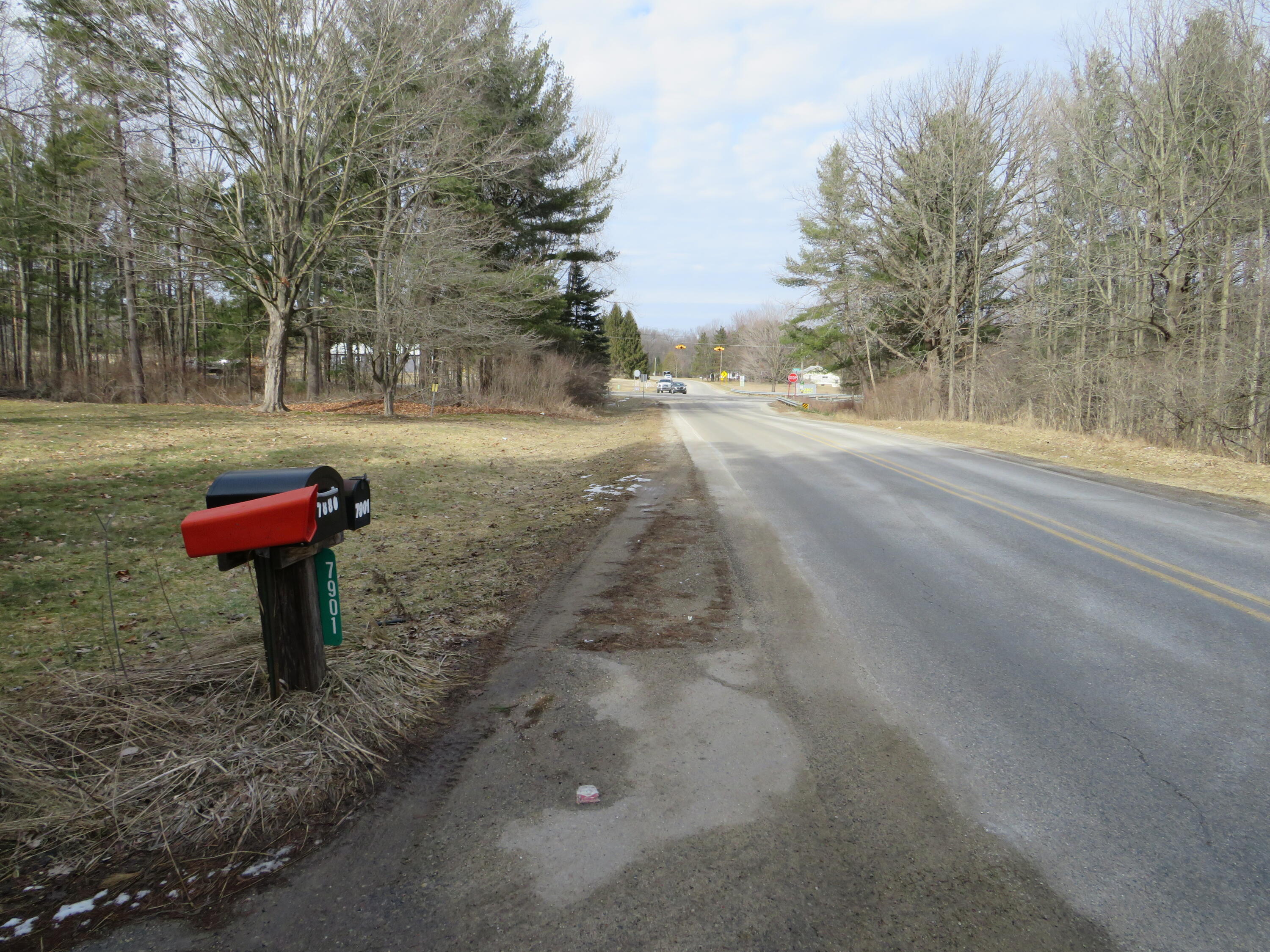 7901 North Lumberjack Road Riverdale, MI 48877 - Photo 33 of 40 IMG_3410