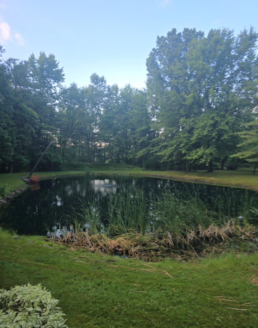7901 North Lumberjack Road Riverdale, MI 48877 - Photo 35 of 40 Summerpondpic1