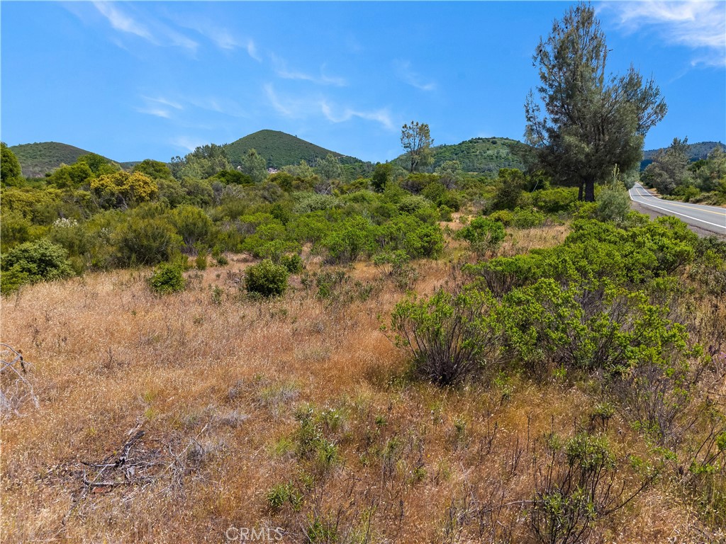 8152 Bottle Rock Road Kelseyville, CA 95451 - Photo 27 of 28 a view of a mountain in the distance in a field