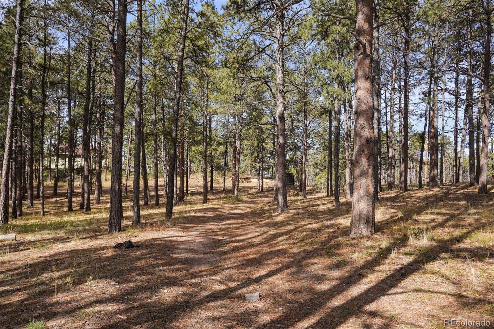 7335 Swan Road Colorado Springs, CO 80908 - Photo 1 of 14 Gallery Image 1