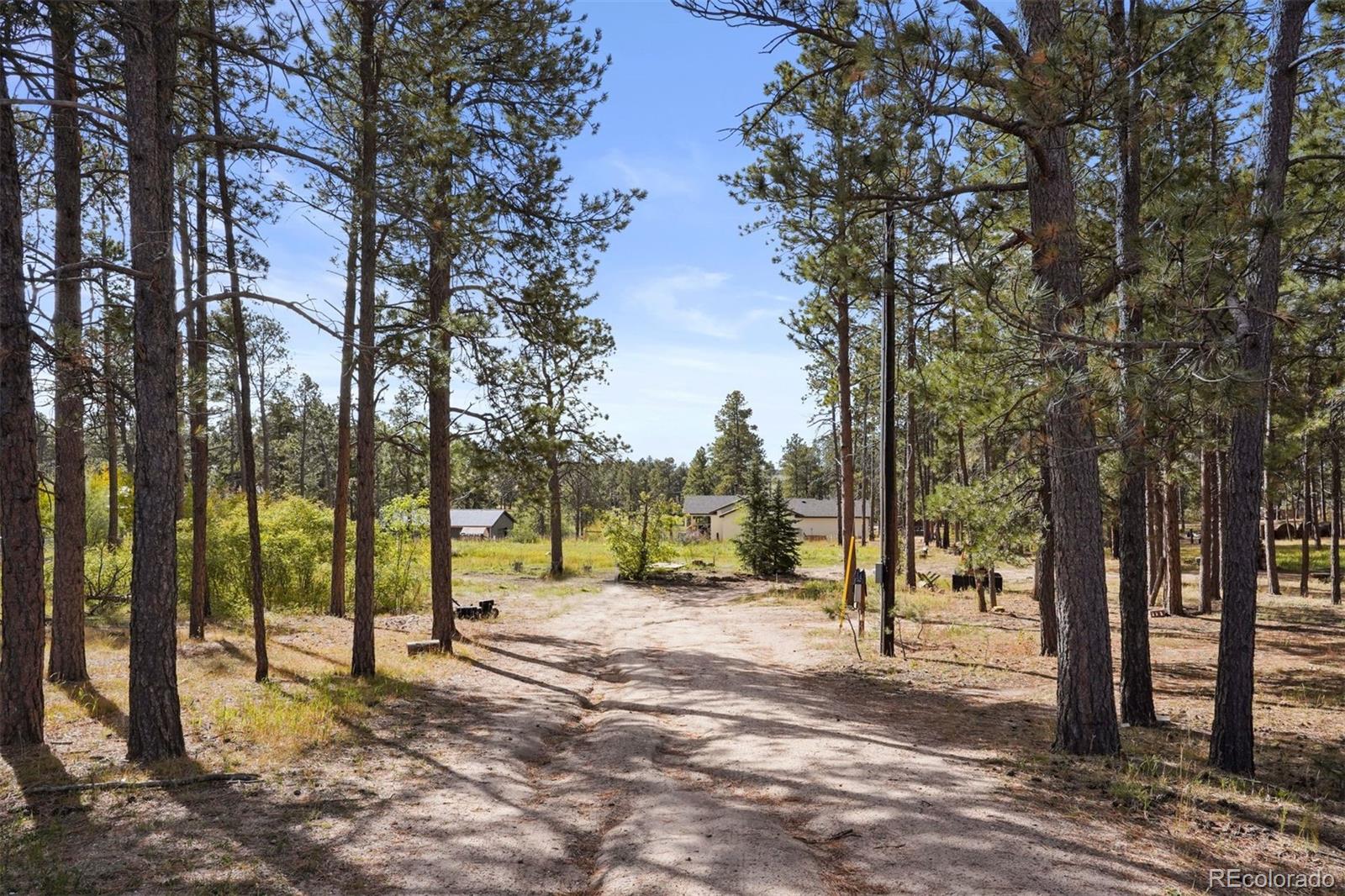 7335 Swan Road Colorado Springs, CO 80908 - Photo 4 of 14 Gallery Image 4