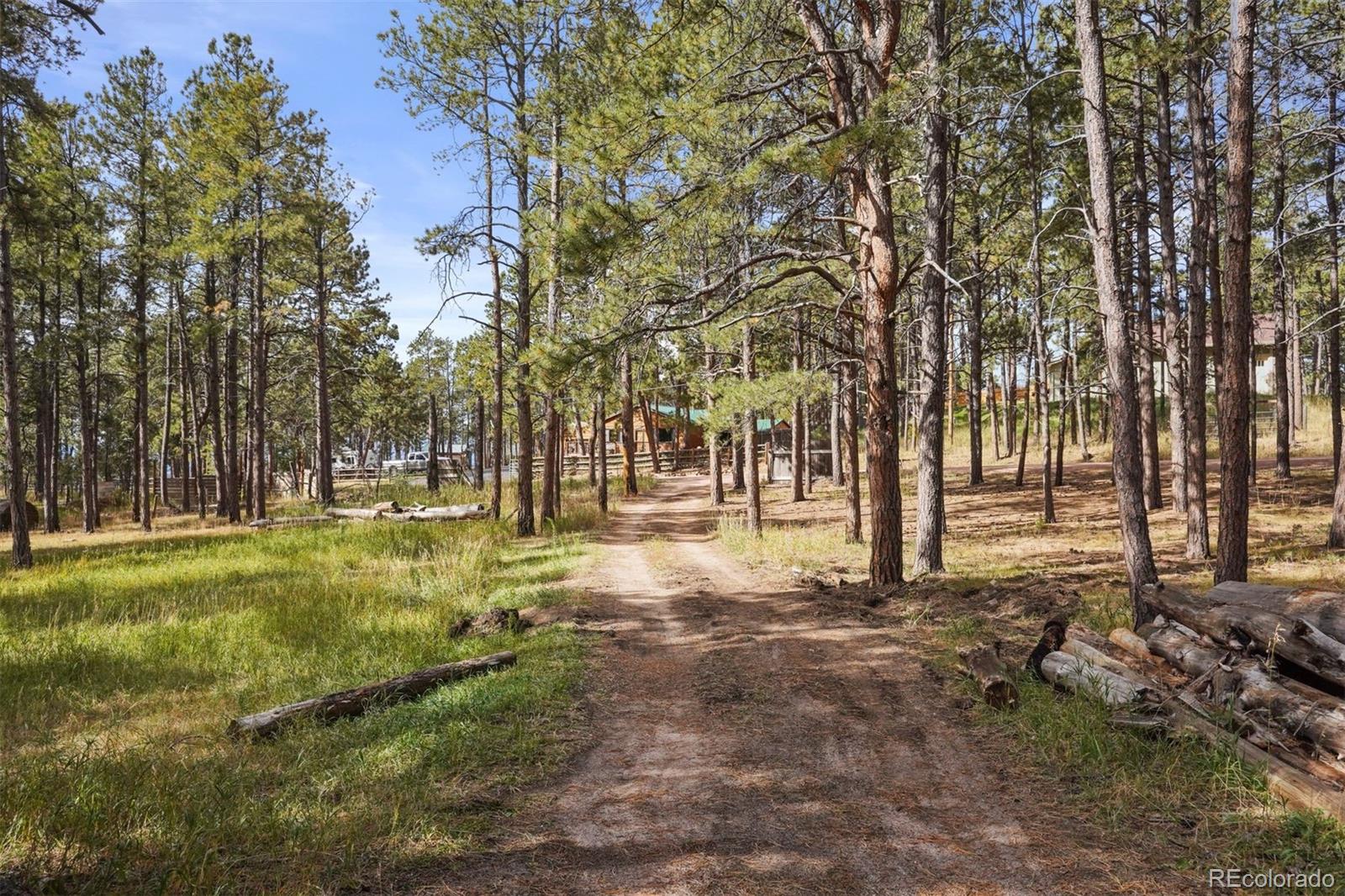 7335 Swan Road Colorado Springs, CO 80908 - Photo 5 of 14 Gallery Image 5