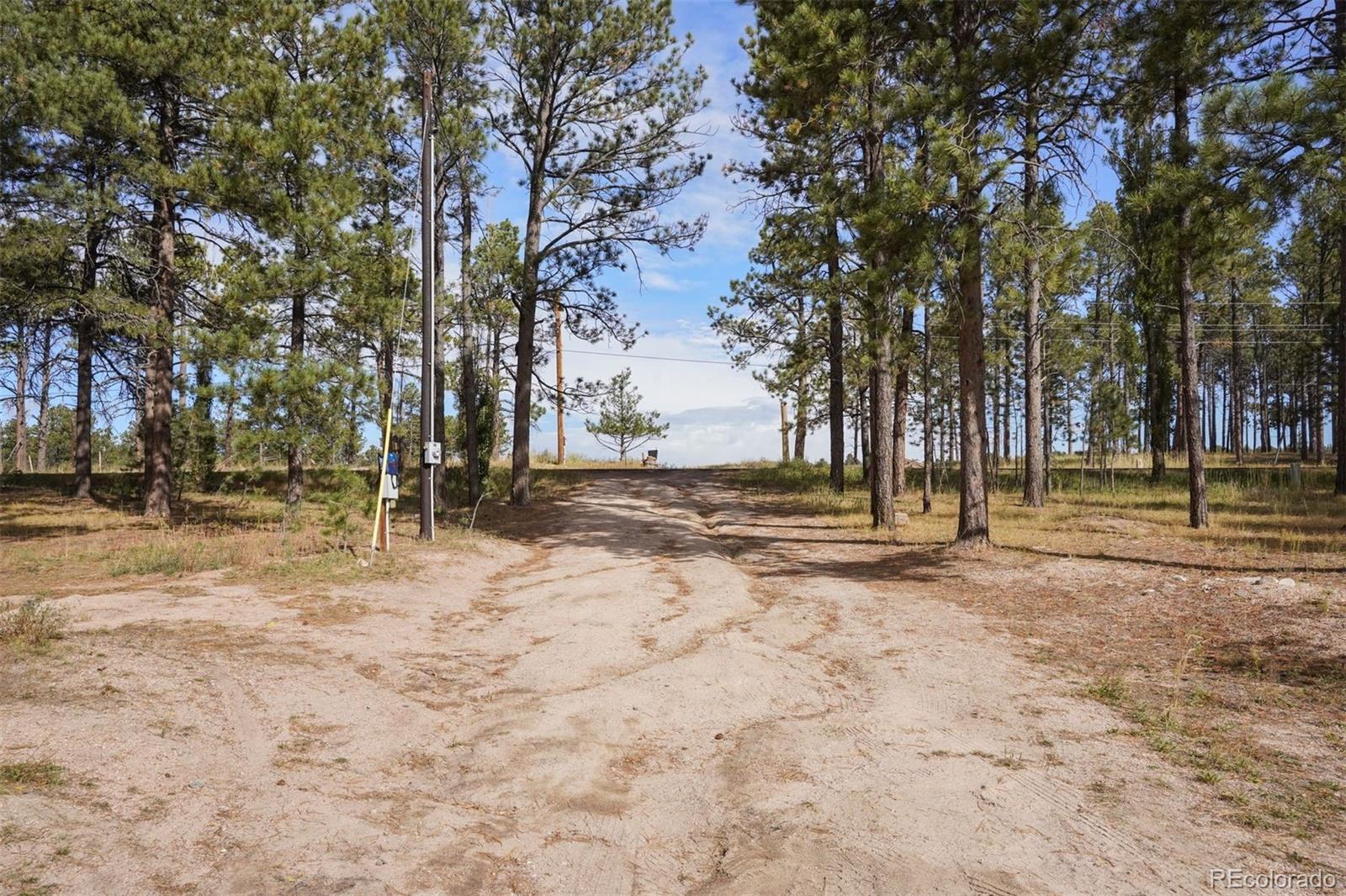 7335 Swan Road Colorado Springs, CO 80908 - Photo 6 of 14 Gallery Image 6