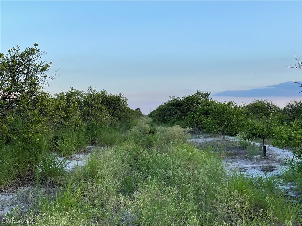 6355 7th Road LaBelle, FL 33935 - Photo 3 of 8 a view of a garden with a house