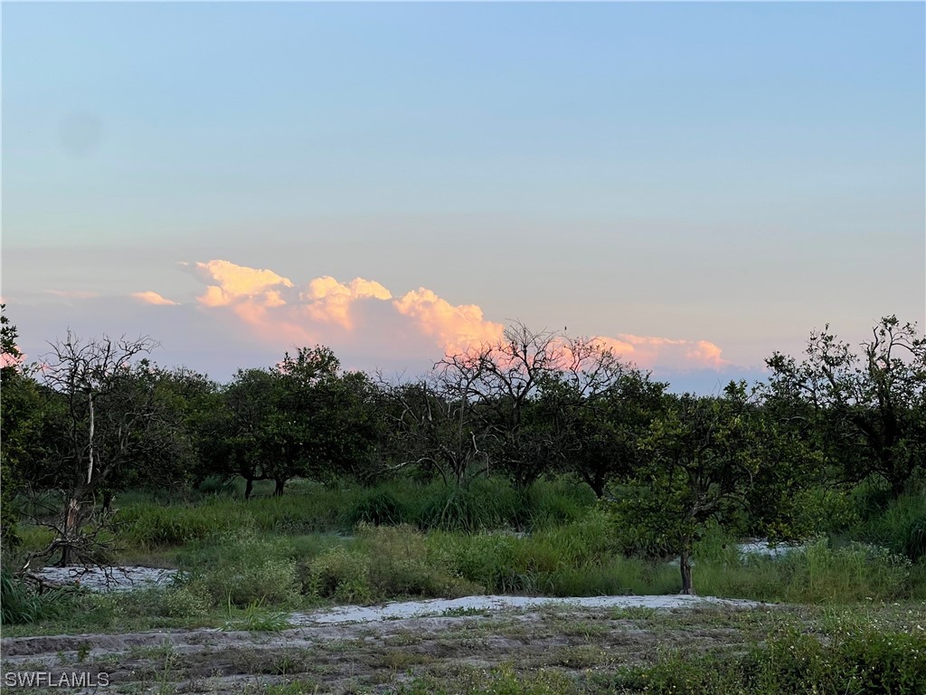 6355 7th Road LaBelle, FL 33935 - Photo 6 of 8 a view of a city with lush green forest