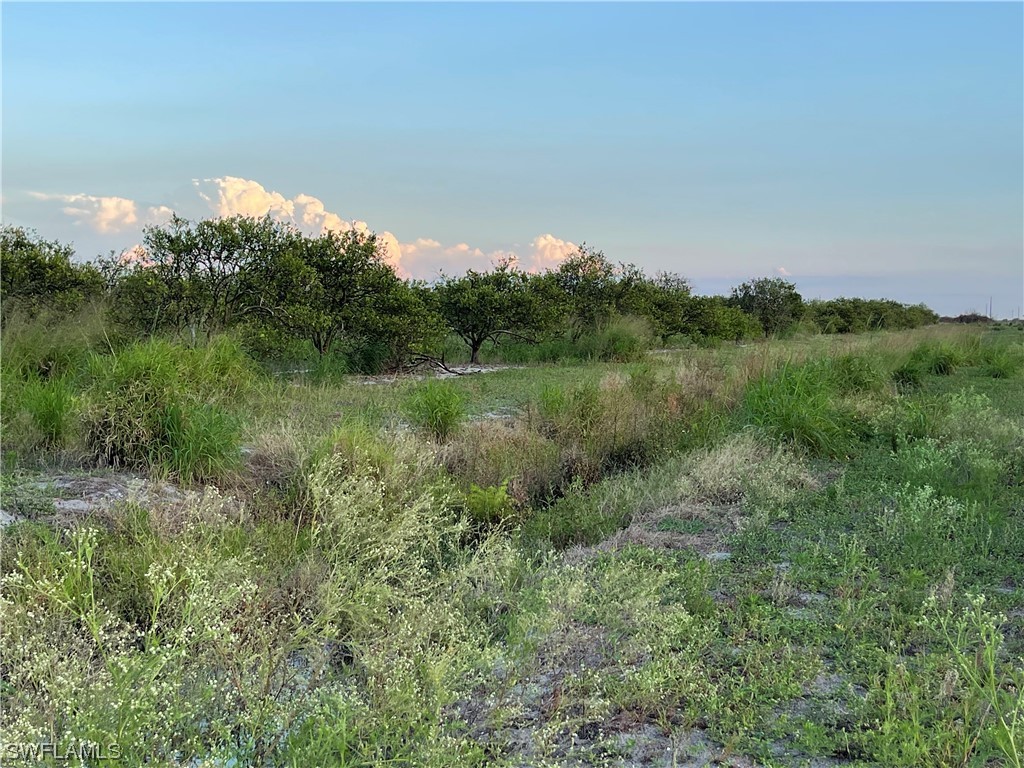 6355 7th Road LaBelle, FL 33935 - Photo 7 of 8 a view of a lush green space