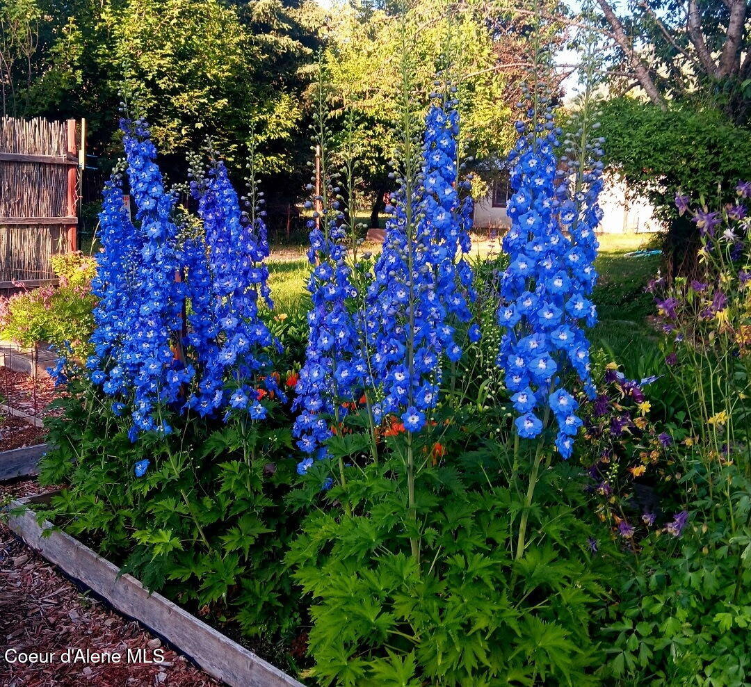210 5th Avenue Clark Fork, ID 83811 - Photo 42 of 44 1000034107