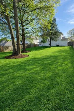 $1,749 | 13952 Buckskin Drive, Willis, TX 77378