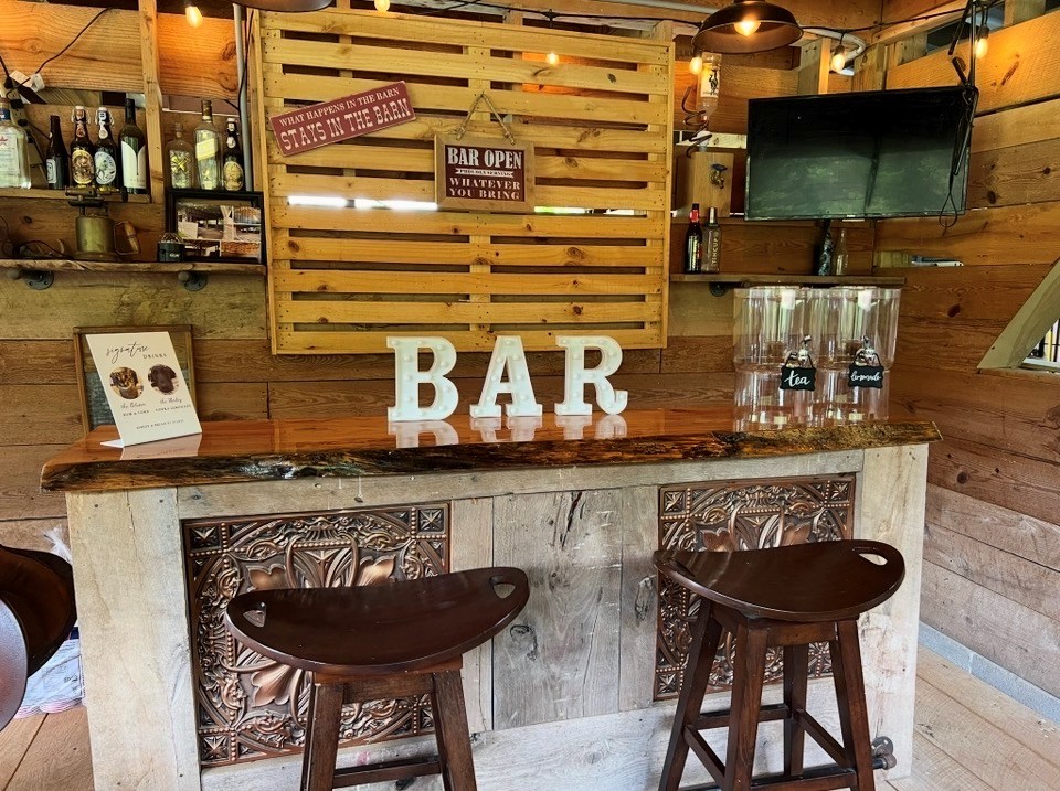 201 Mountainside Parkway Ellijay, GA 30536 - Photo 56 of 78