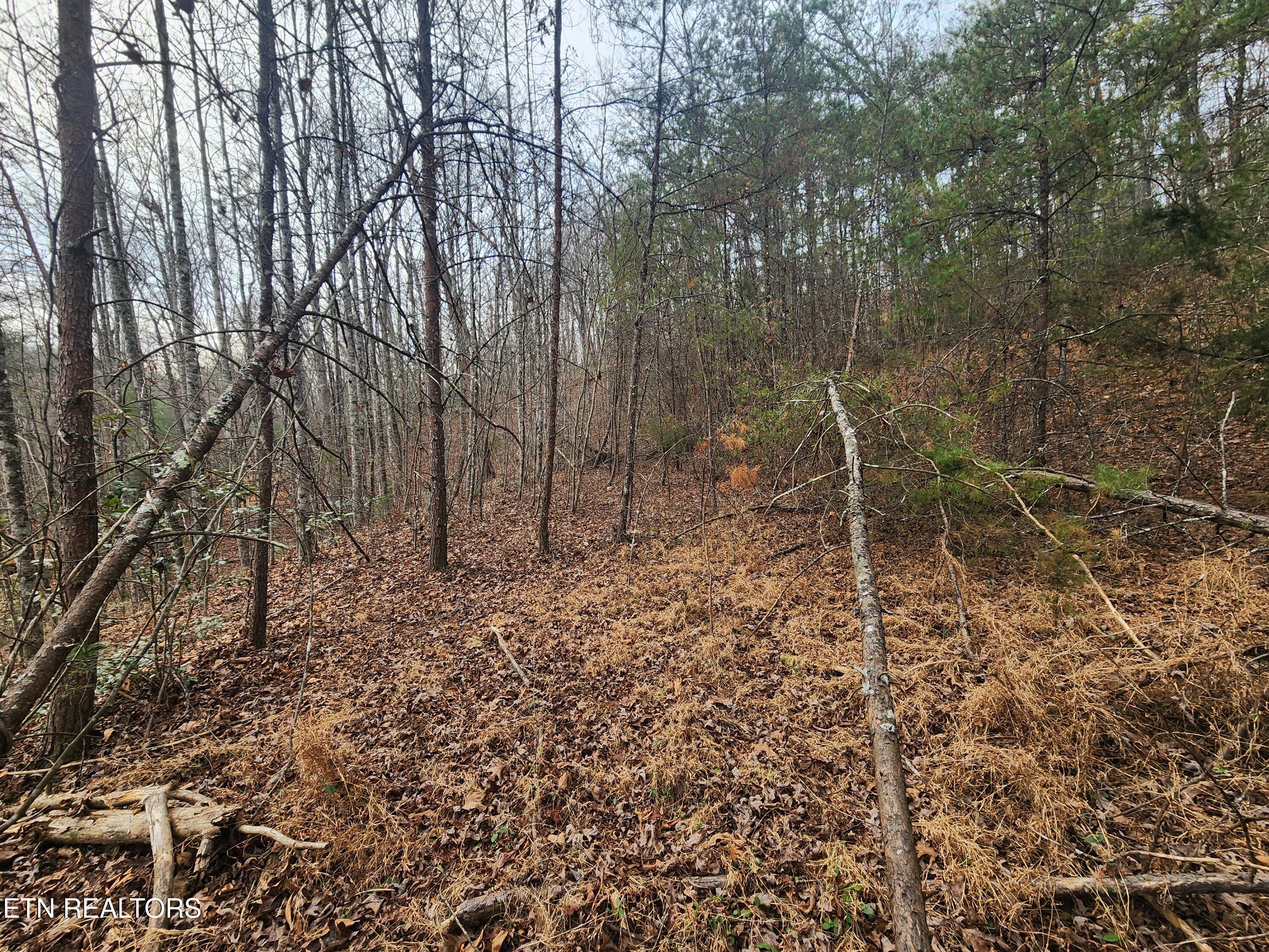 Vann Road Harriman, TN 37748 - Photo 18 of 56 20251217_141834