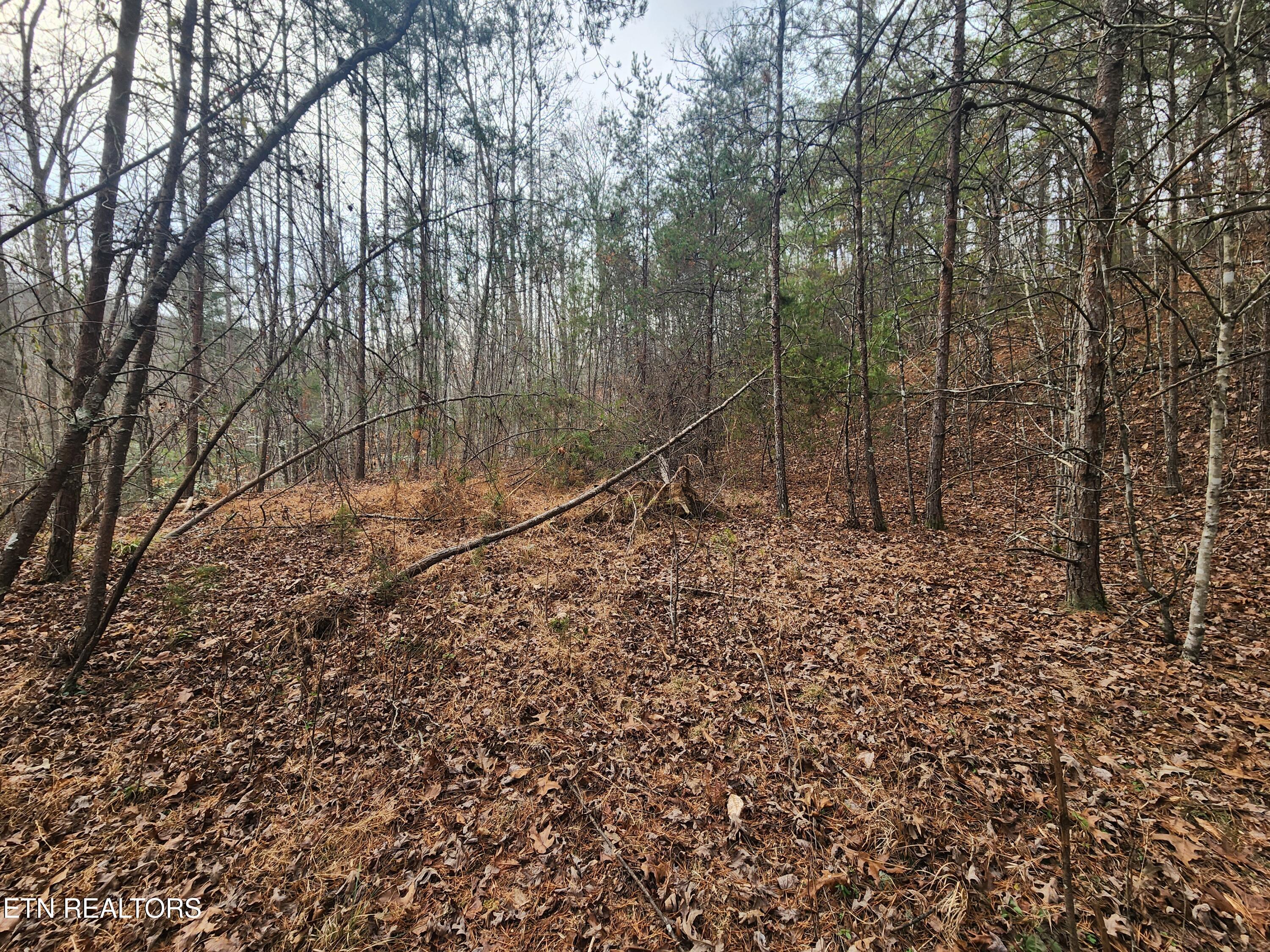 Vann Road Harriman, TN 37748 - Photo 3 of 56 20251217_141659