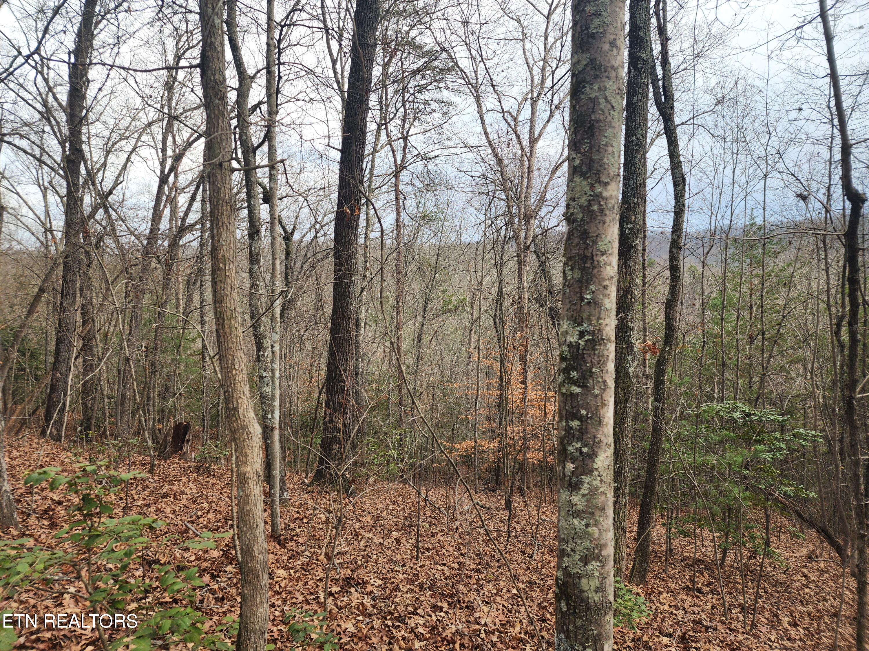 Vann Road Harriman, TN 37748 - Photo 32 of 56 20251217_143017