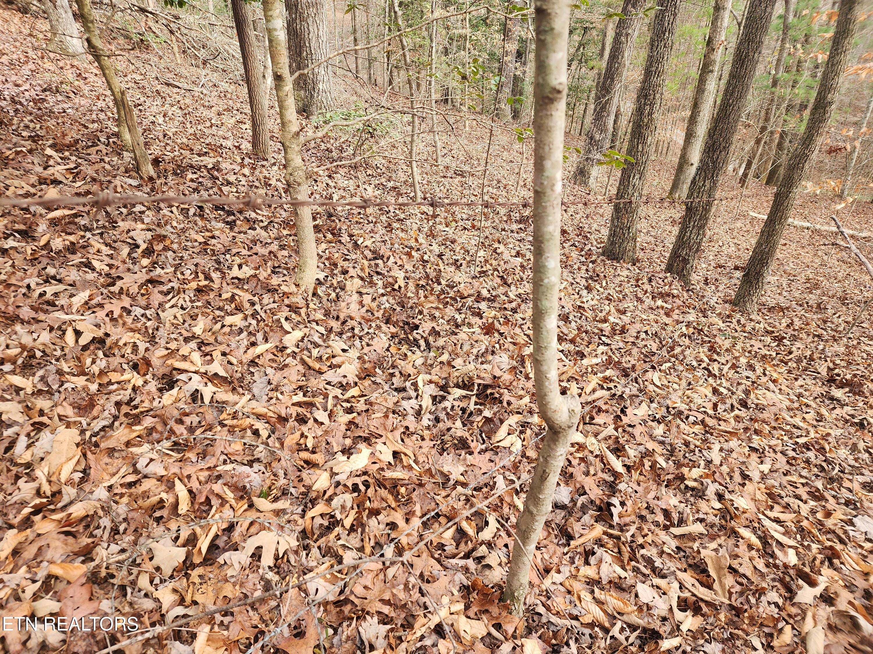Vann Road Harriman, TN 37748 - Photo 39 of 56 20251217_144518