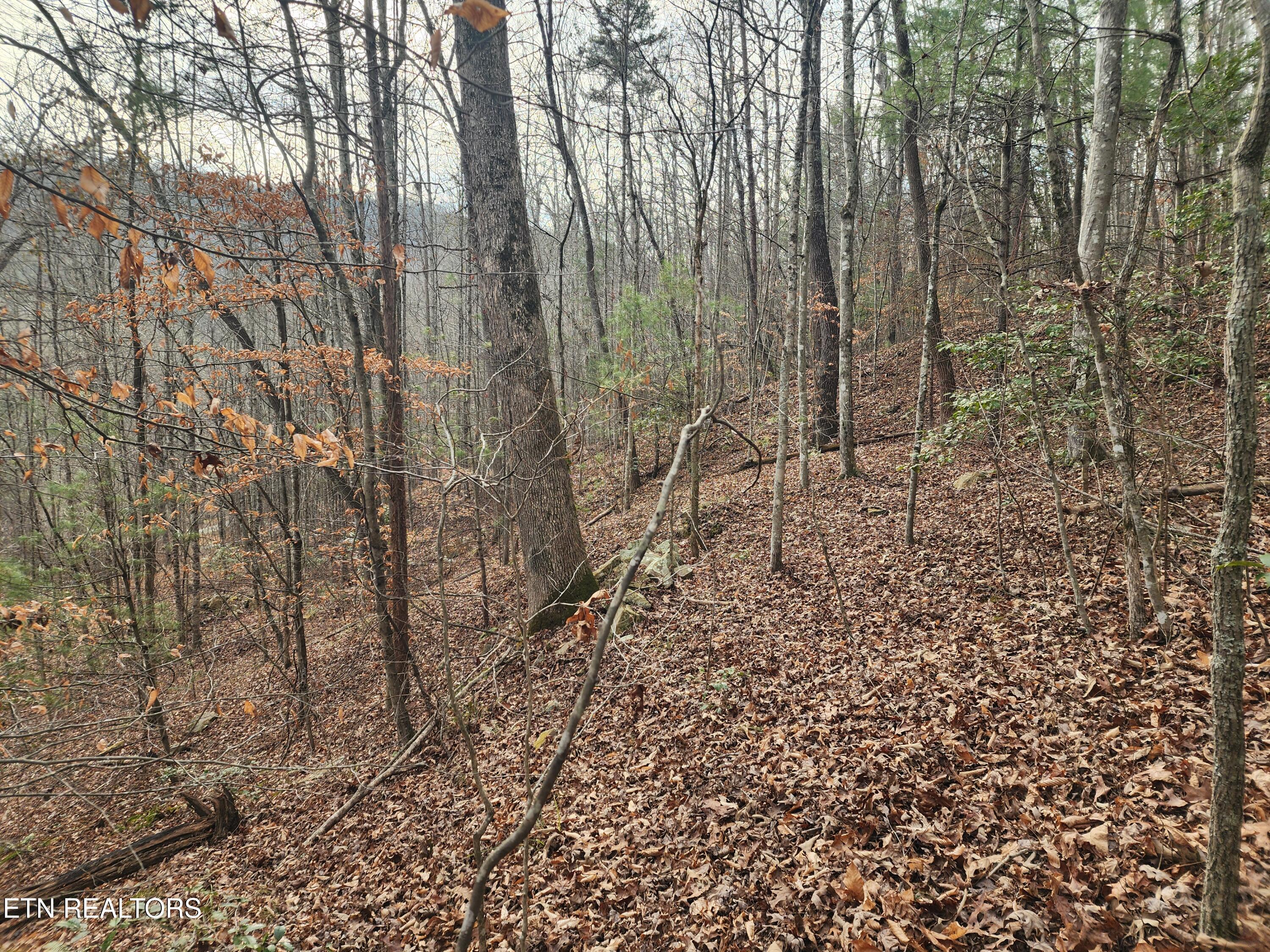 Vann Road Harriman, TN 37748 - Photo 41 of 56 20251217_144533