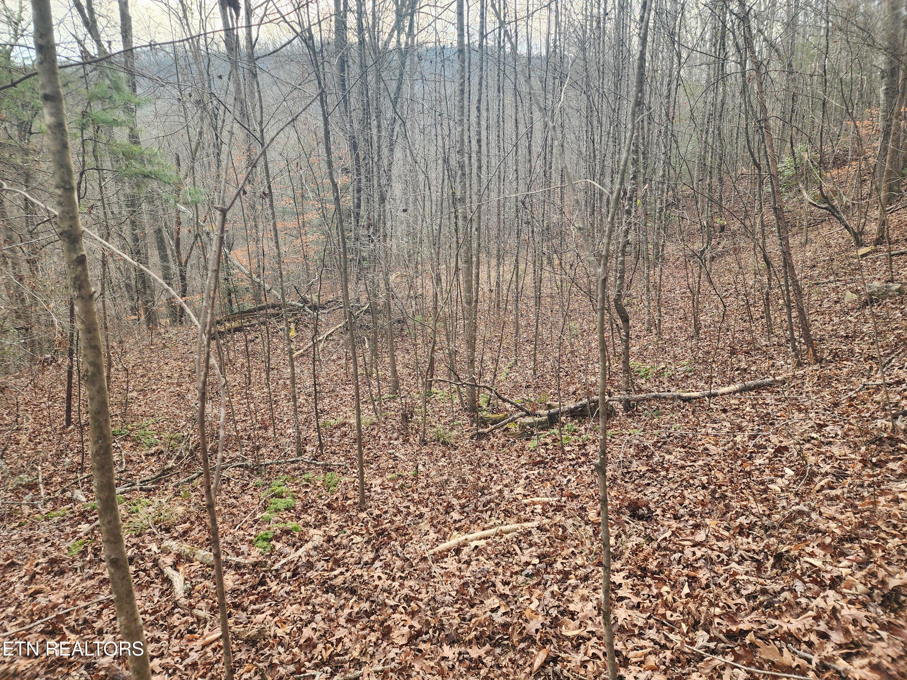 Vann Road Harriman, TN 37748 - Photo 45 of 56 20251217_144630
