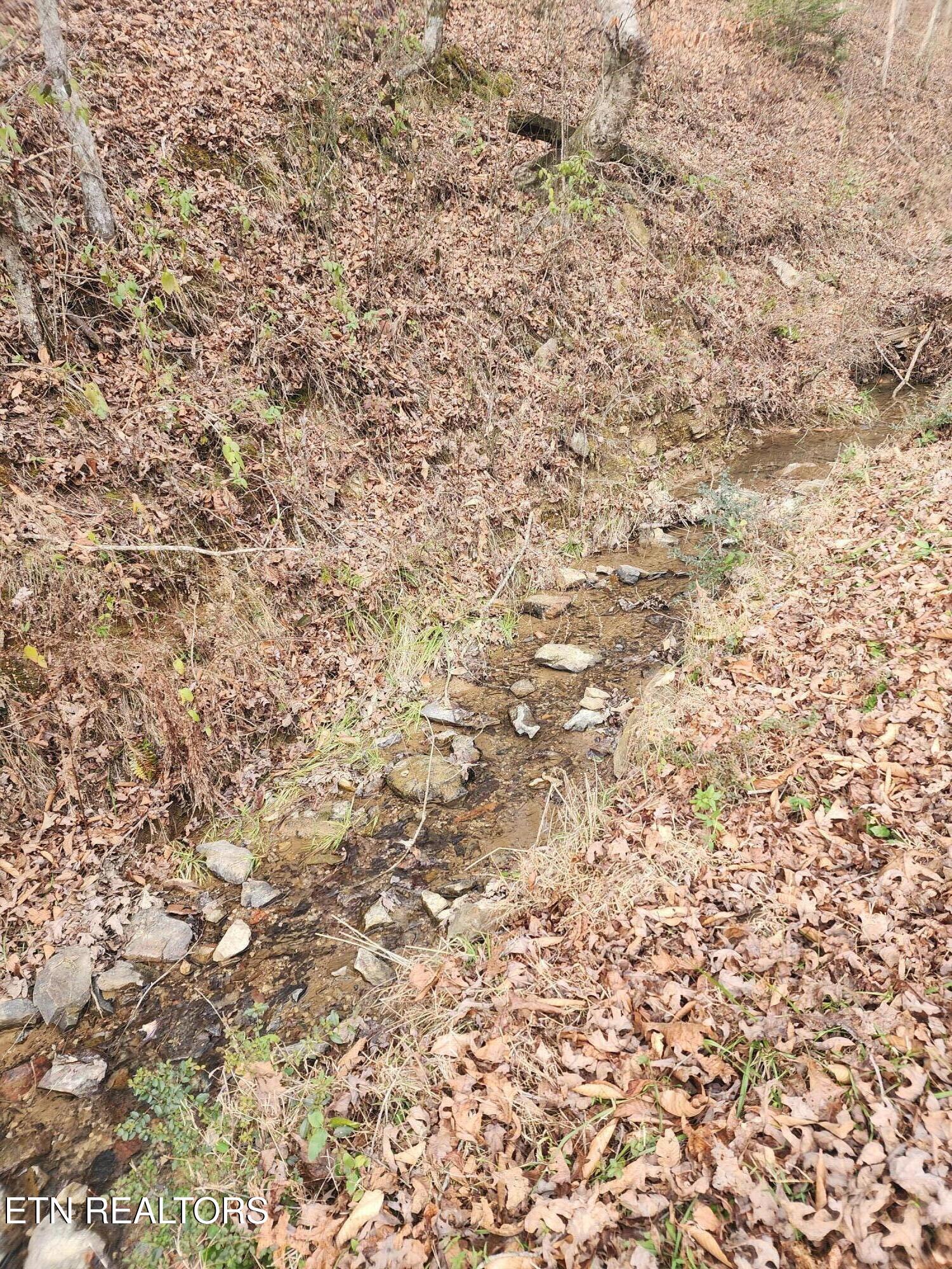 Vann Road Harriman, TN 37748 - Photo 50 of 56 Creek @ road