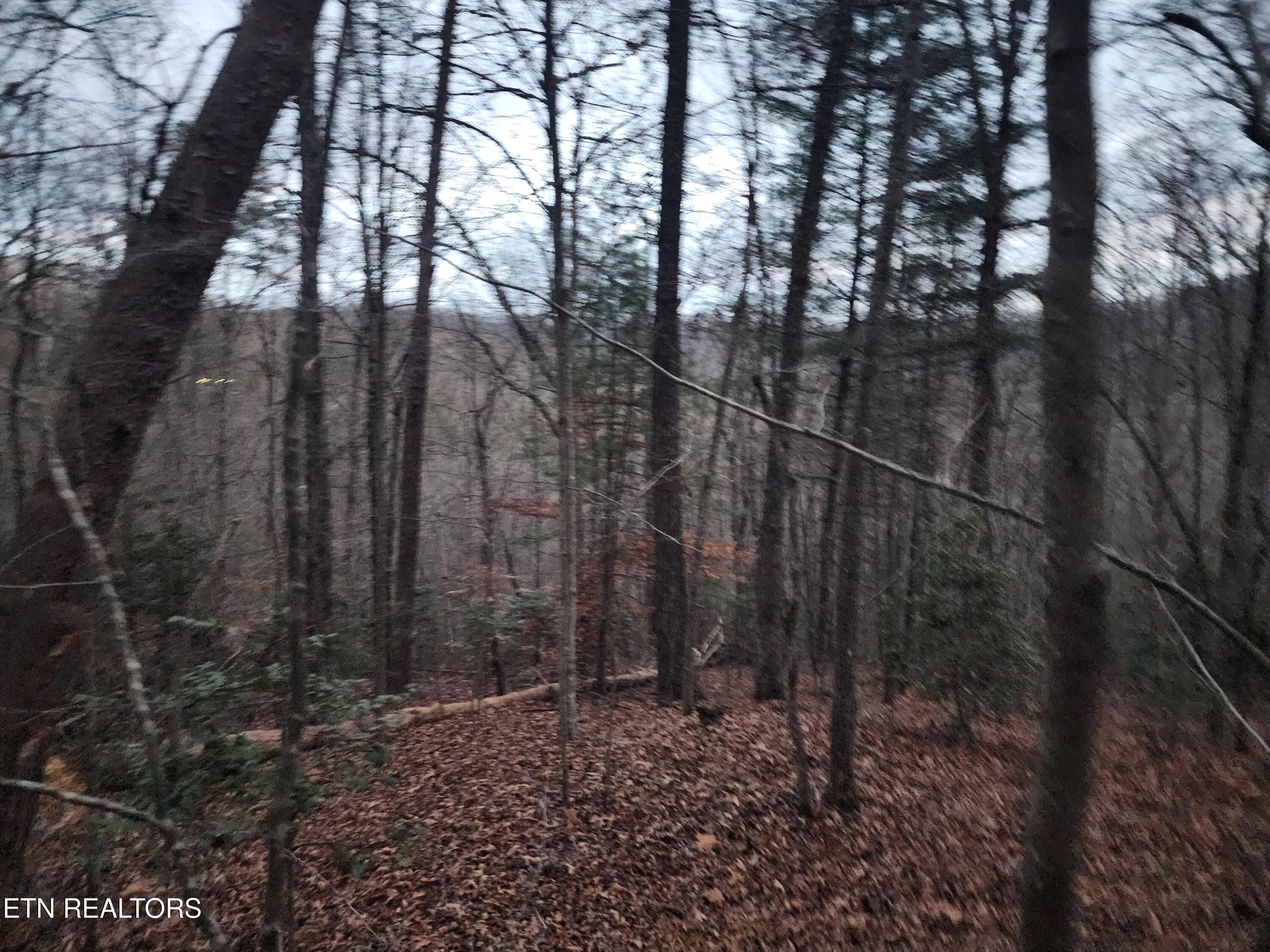 Vann Road Harriman, TN 37748 - Photo 54 of 56 20251217_174126