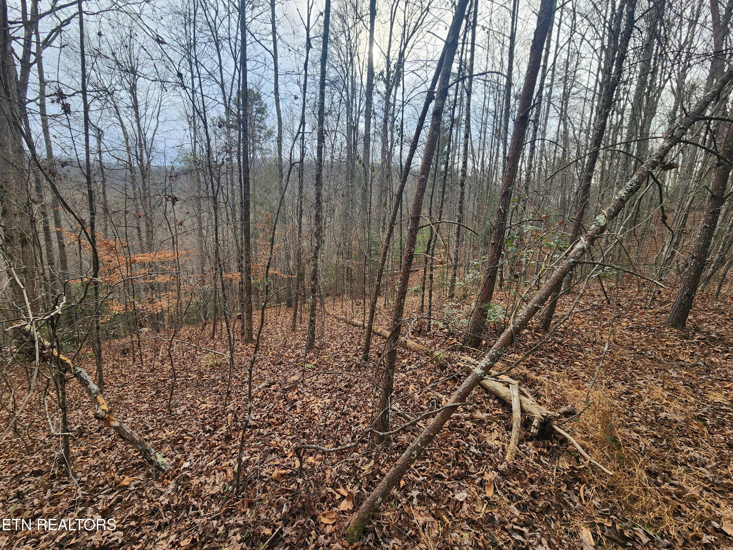 Vann Road Harriman, TN 37748 - Photo 8 of 56 20251217_141841