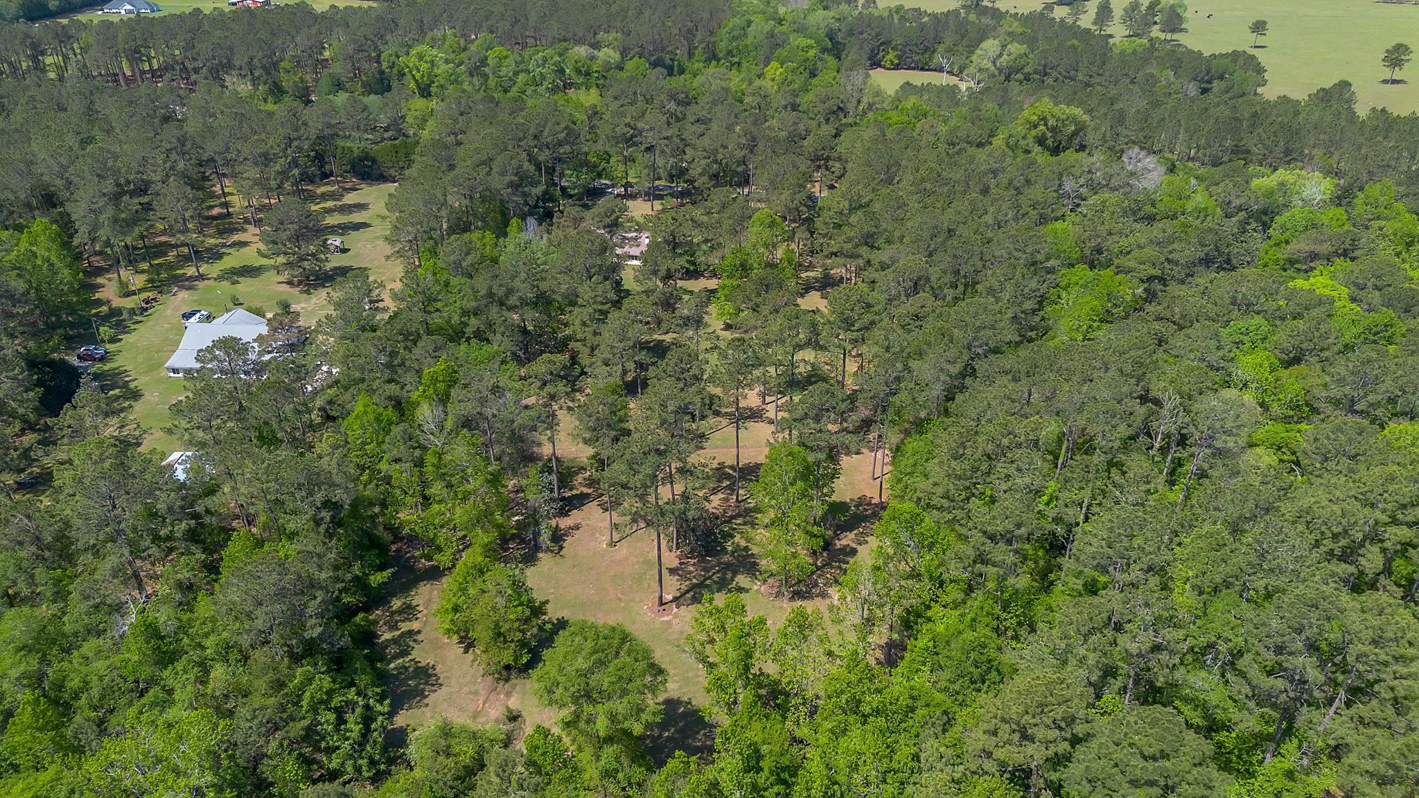 2848 Lanier Road Havana, FL 32333 - Photo 49 of 49 Gallery Image 49
