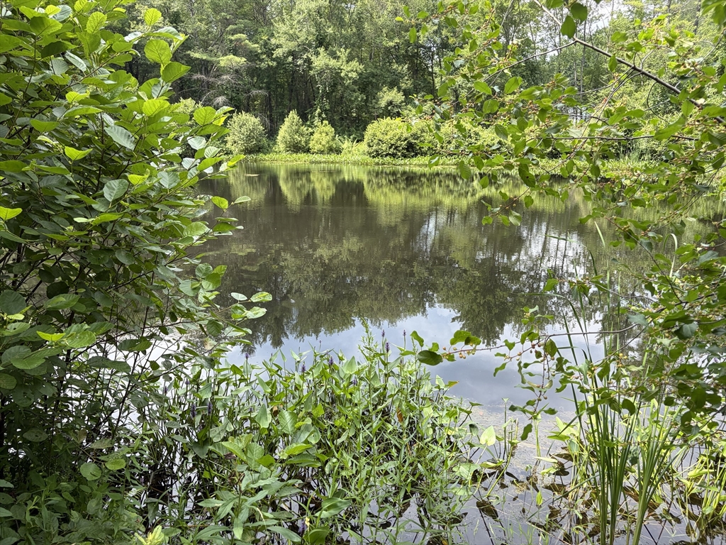 0 Judy Farm Road Carlisle, MA 01741 - Photo 9 of 13