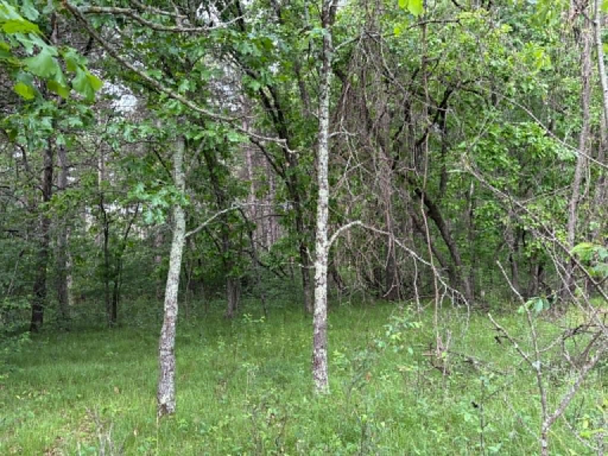 Lot 13 19th Friendship, WI 53934 - Photo 16 of 18