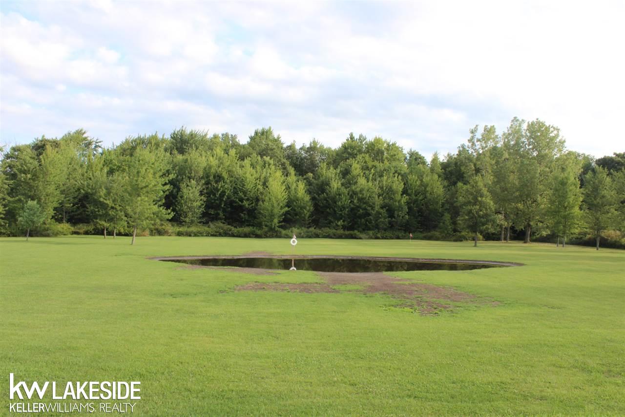 16292 Lewis Road Capac, MI 48014 - Photo 25 of 31