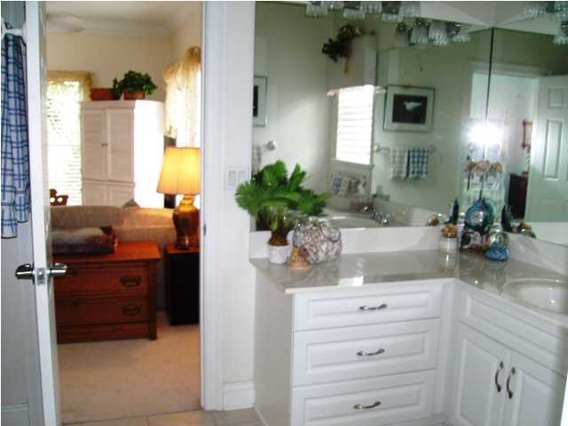 256 North Wall Street Inlet Beach, FL 32461 - Photo 19 of 32 a bathroom with a granite countertop sink a potted plant and a mirror