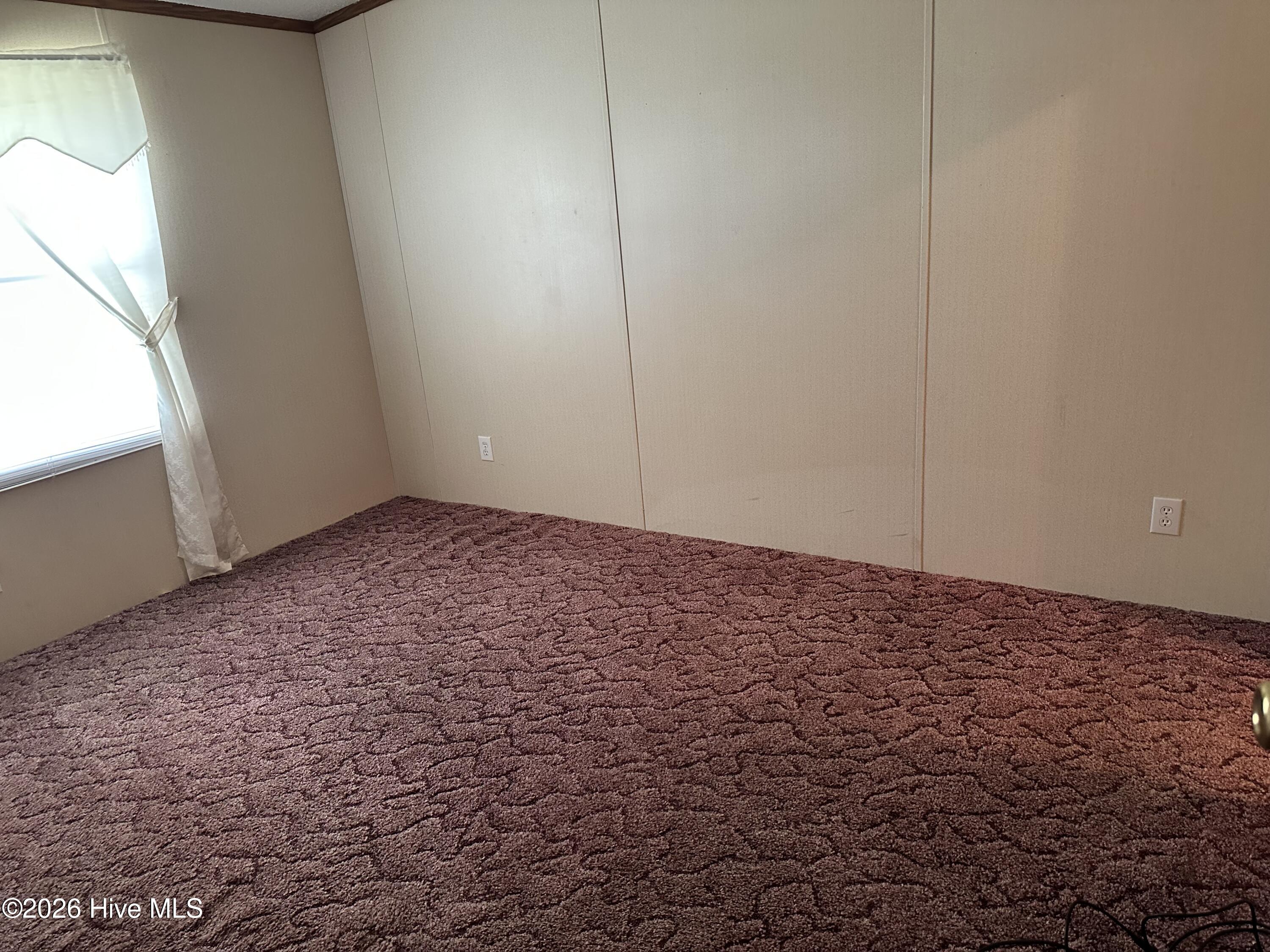 80 Lancaster Farm Road Whitakers, NC 27891 - Photo 2 of 10 IMG_0362