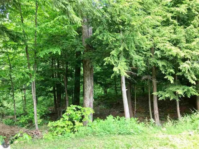 3393 East Haskell Lake Road Harrison, MI 48625 - Photo 38 of 42 1863069-37