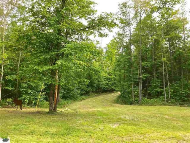 3393 East Haskell Lake Road Harrison, MI 48625 - Photo 42 of 42 1863069-41