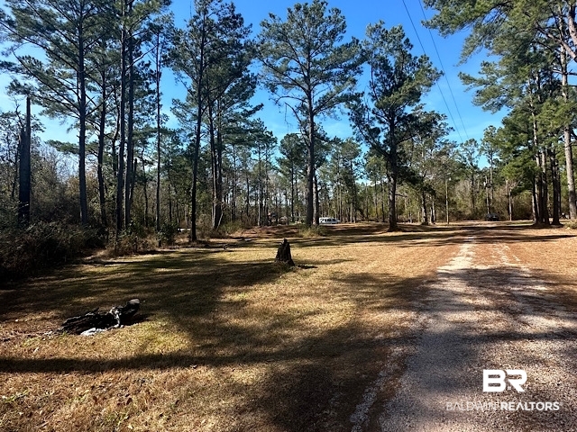 17245 County Road 87 Elberta, AL 36530 - Photo 3 of 11
