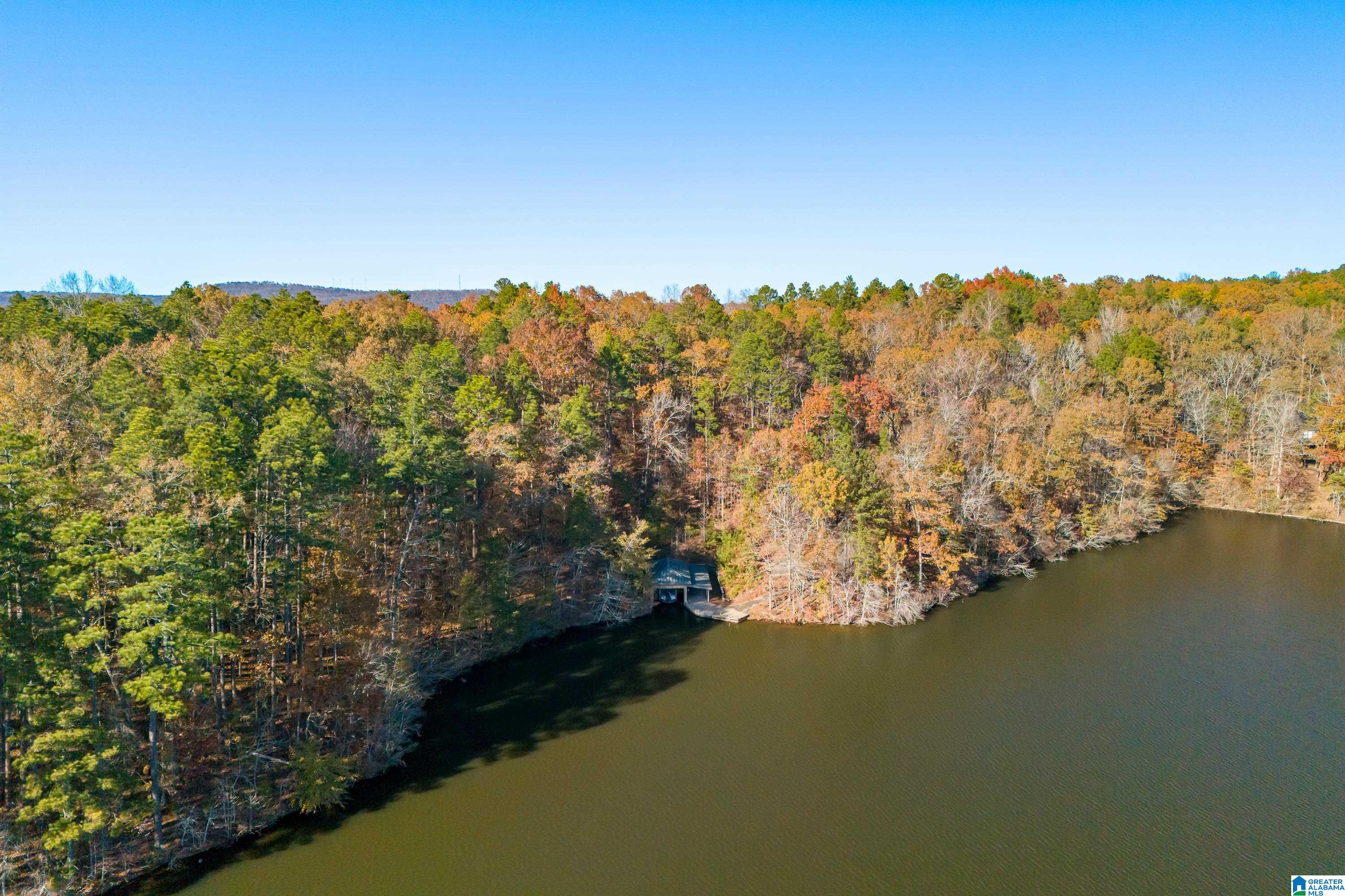 0 Pumpkin Hollow Road Sterrett, AL 35147 - Photo 50 of 55