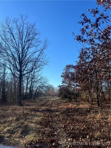 $700,000 | 4534 Pyrmont Road, Stover, MO 65078