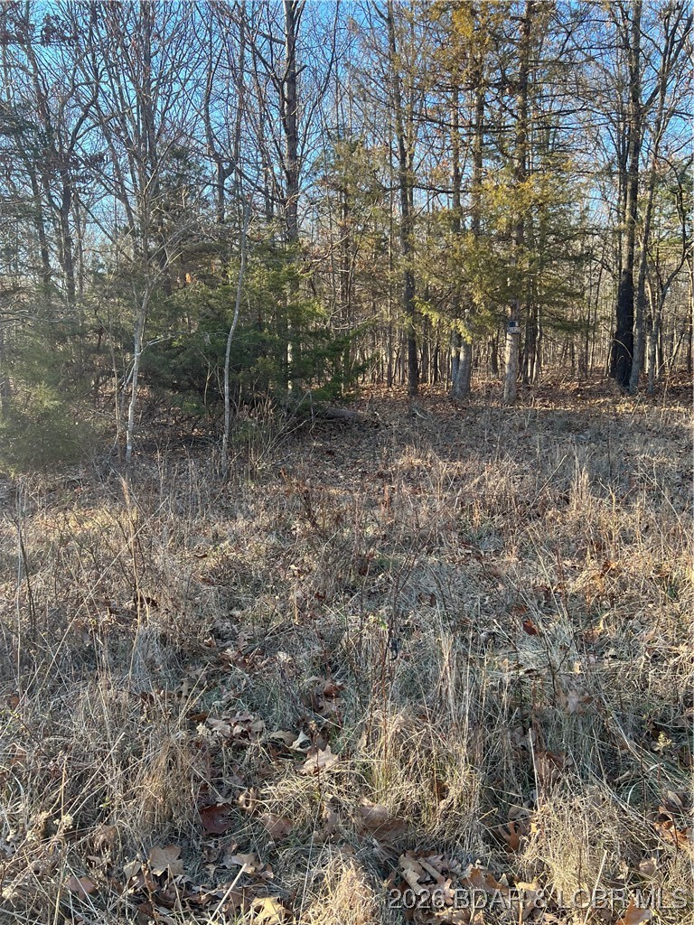 4534 Pyrmont Road Stover, MO 65078 - Photo 17 of 41