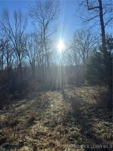 $700,000 | 4534 Pyrmont Road, Stover, MO 65078