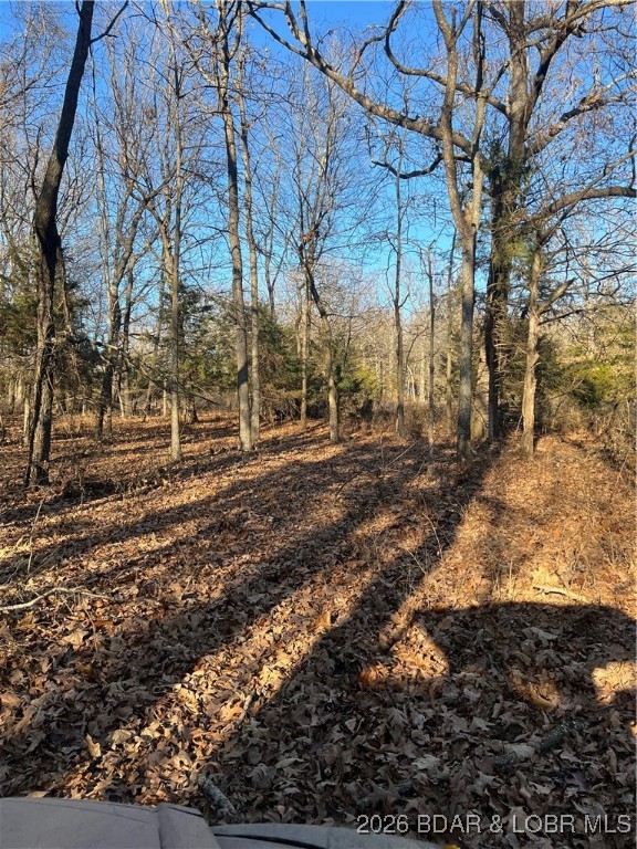 4534 Pyrmont Road Stover, MO 65078 - Photo 24 of 41