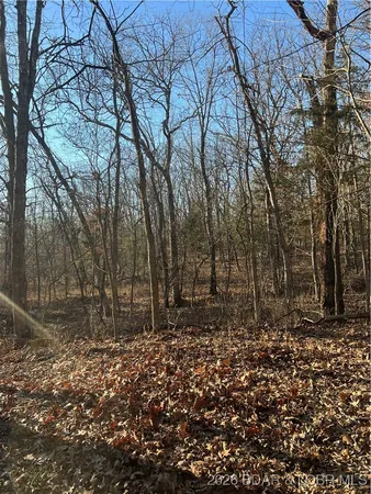 $575,000 | 4534 Pyrmont Road, Stover, MO 65078