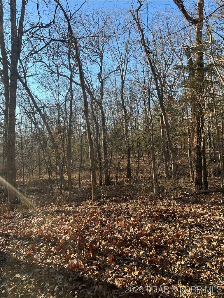 4534 Pyrmont Road Stover, MO 65078 - Photo 25 of 41