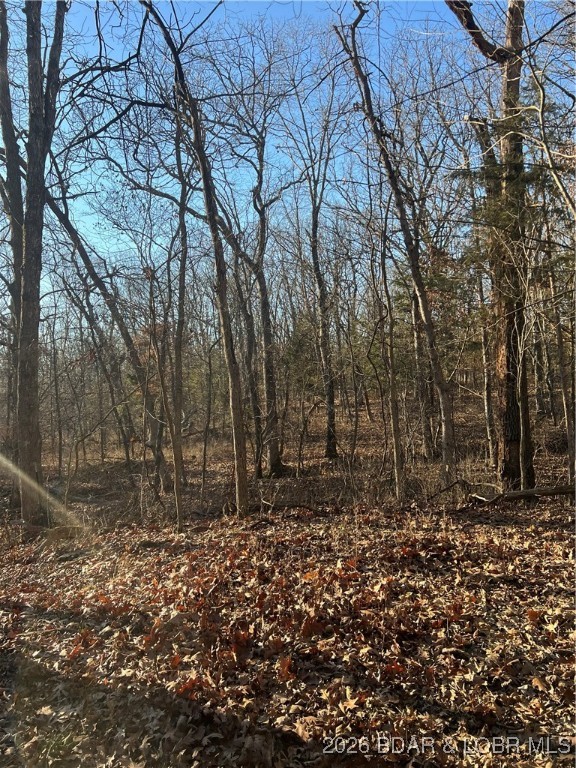 4534 Pyrmont Road Stover, MO 65078 - Photo 25 of 41