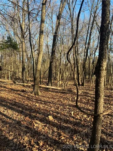 $700,000 | 4534 Pyrmont Road, Stover, MO 65078