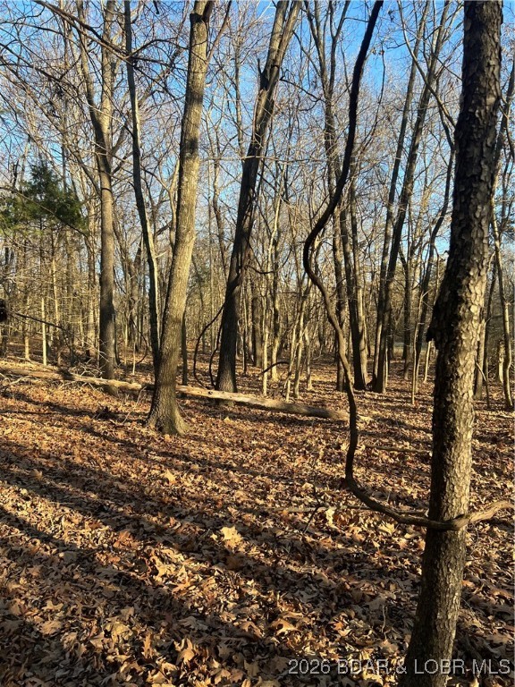 4534 Pyrmont Road Stover, MO 65078 - Photo 26 of 41