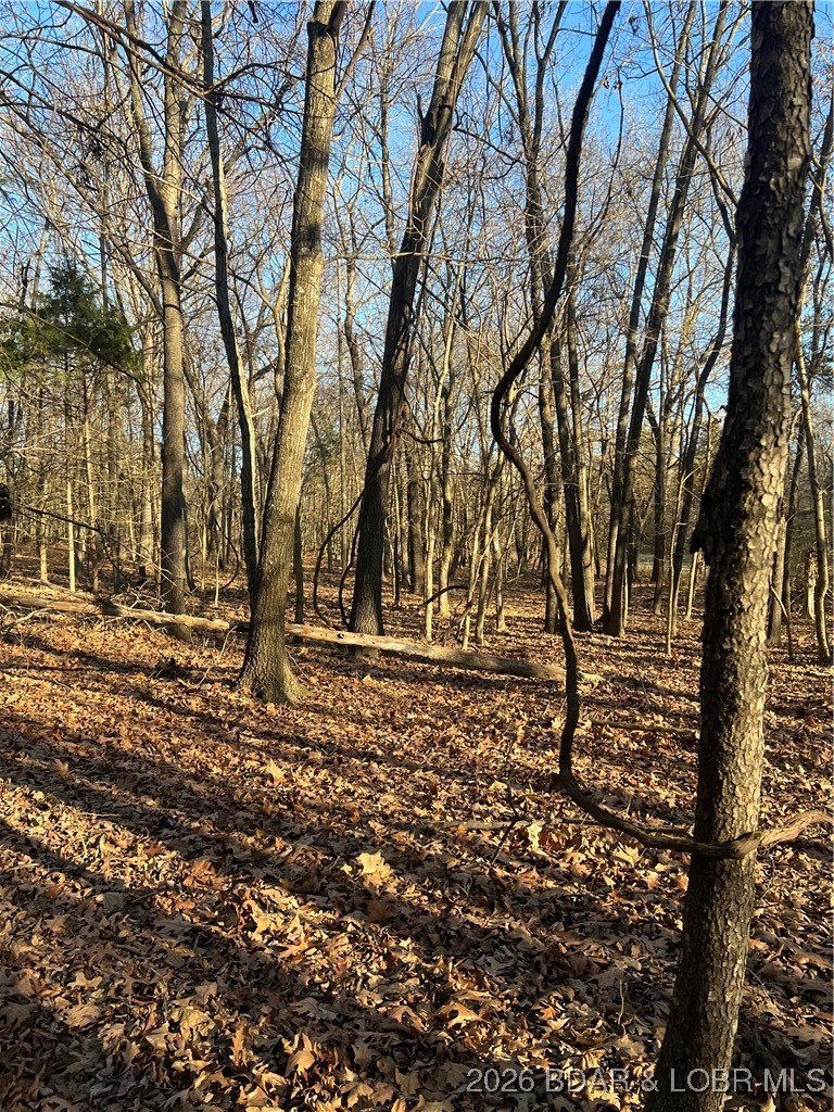 4534 Pyrmont Road Stover, MO 65078 - Photo 26 of 41